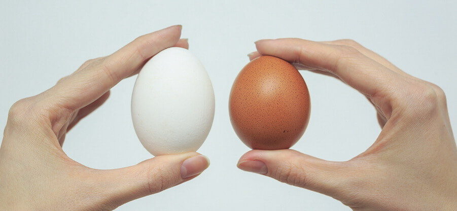 Какие куриные яйца лучше покупать, белые или коричневые