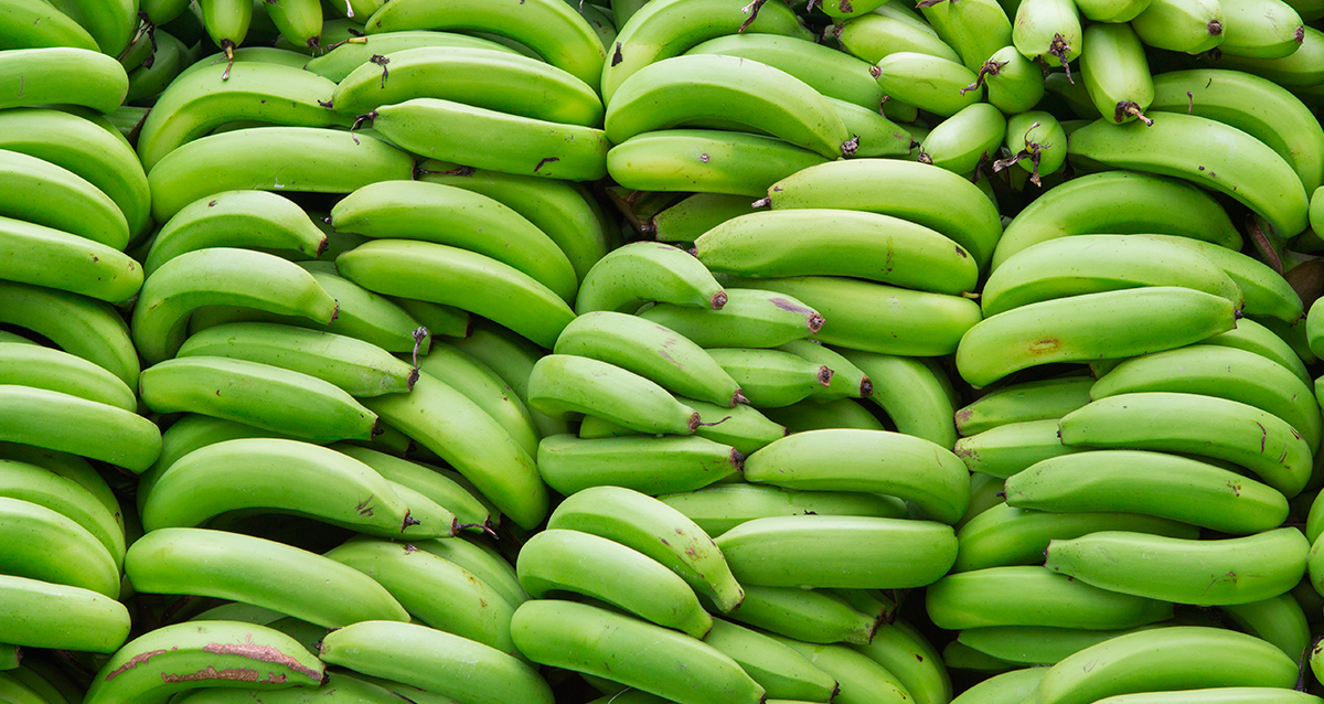 Как сохранить свежесть бананов надолго, чтобы они не почернели
