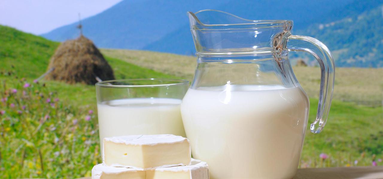 Польза и вред козьего молока кому нельзя козье молоко | Make Eat